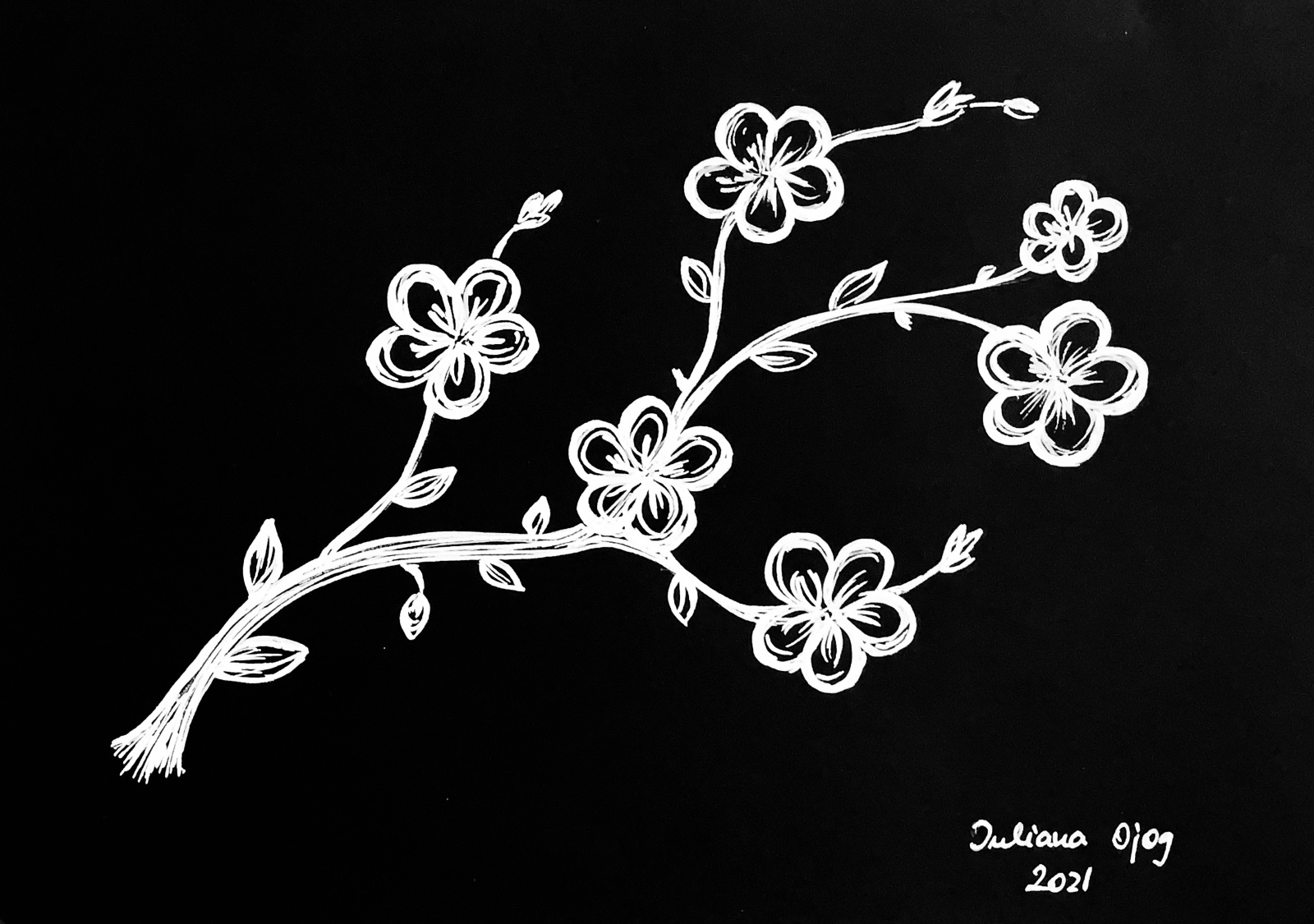 Papierzeichnung, weiß auf schwarz: "Apfelblüte"