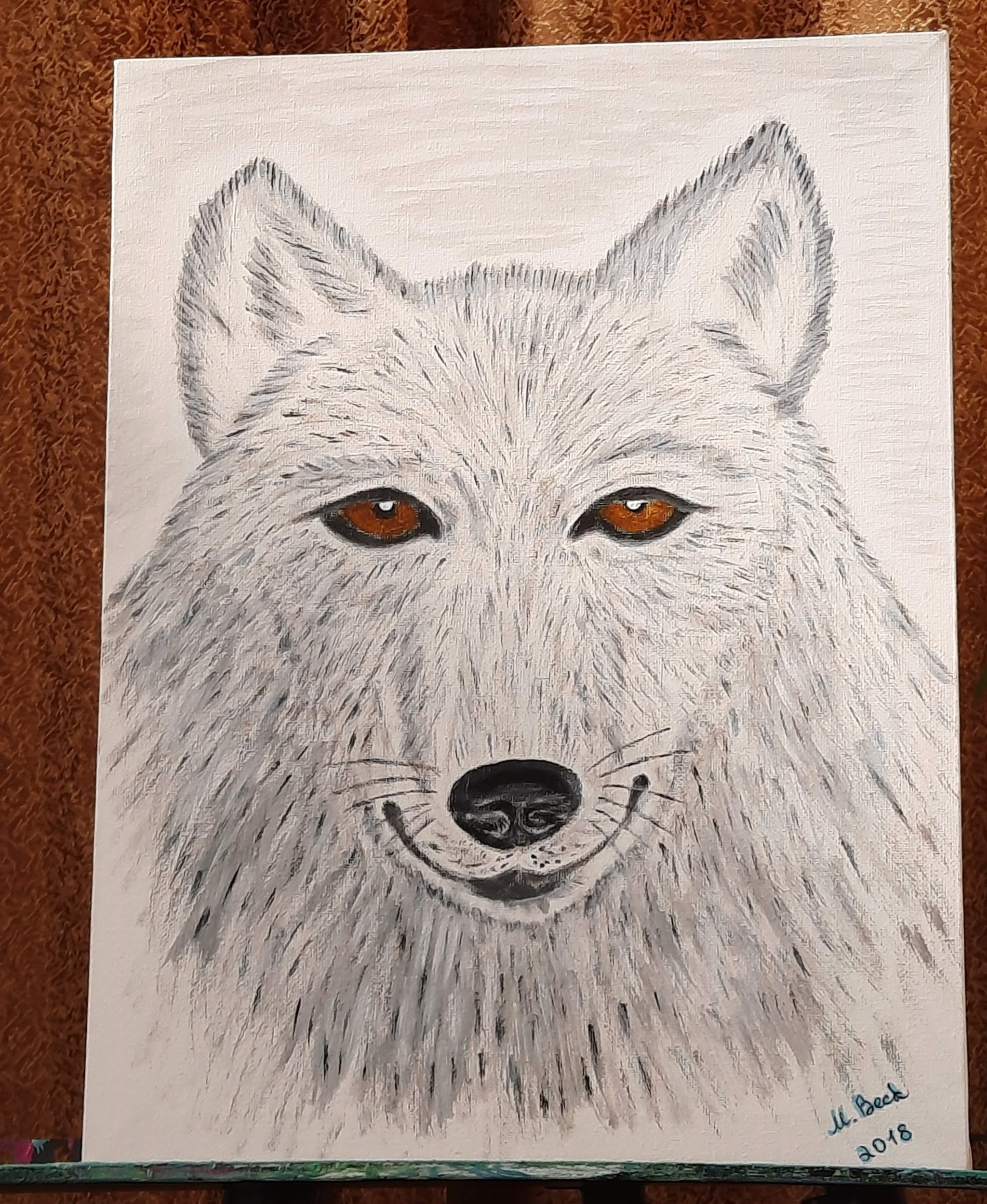 Grau wolf