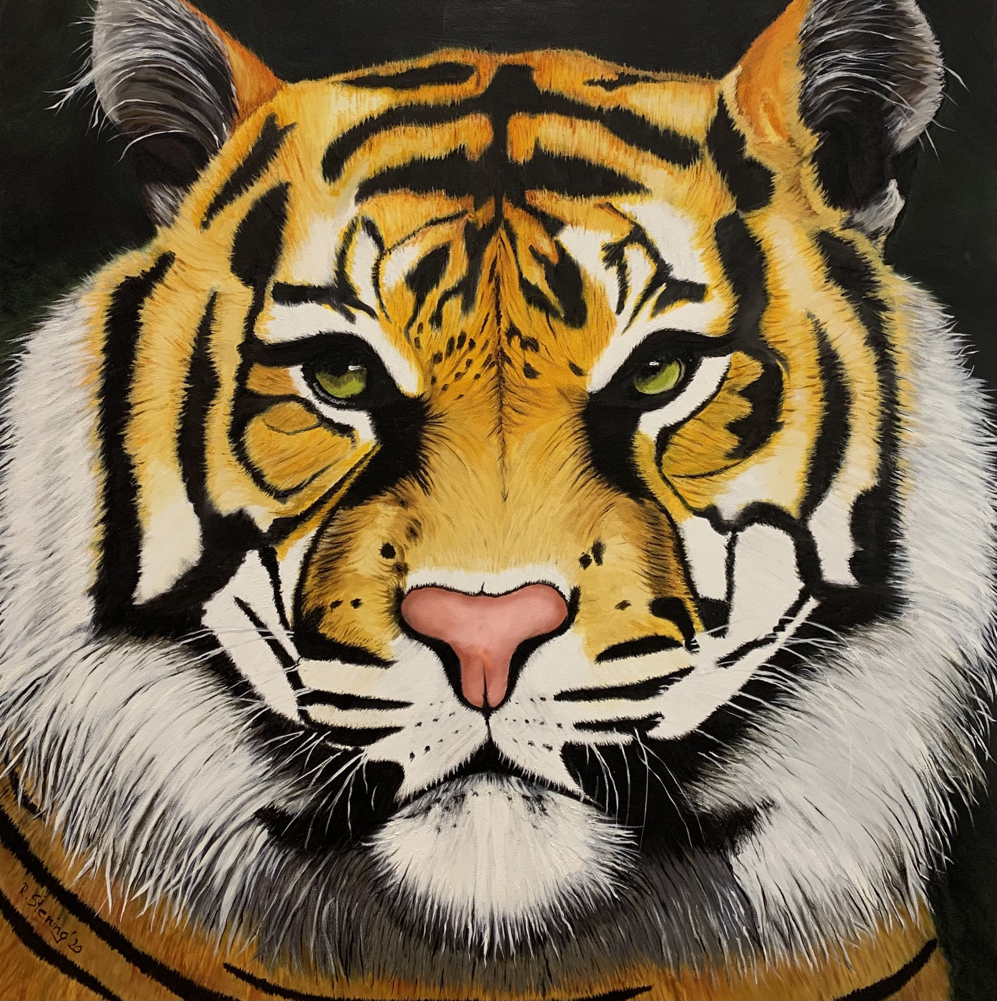 „Tiger“