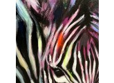 zebra-iv-diana-stutzke-d5_thumb1.jpg