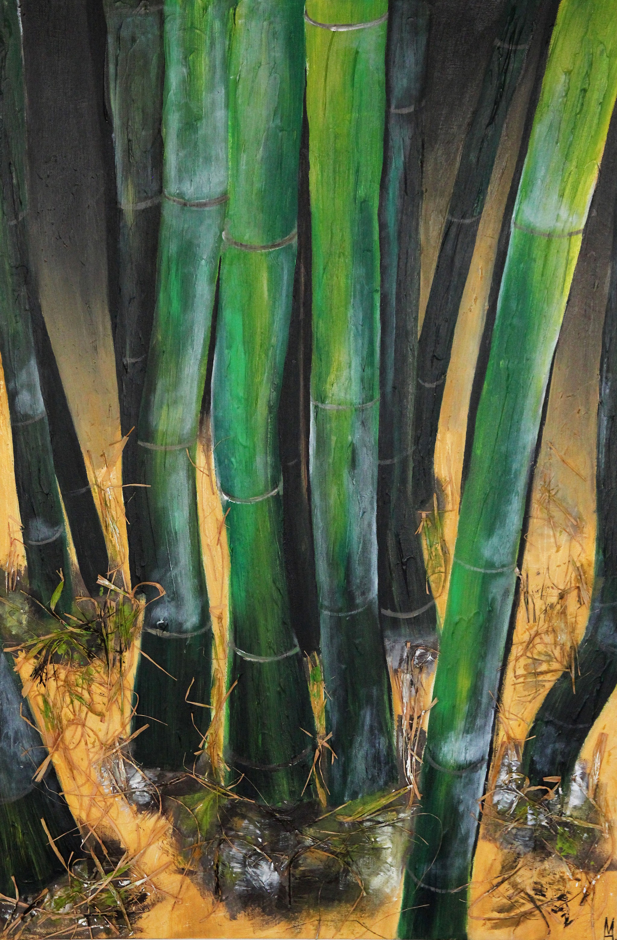 Bambusbäume 