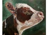 Cow_s_Portrait_by_Jura_Kuba_Art_thumb1.jpg